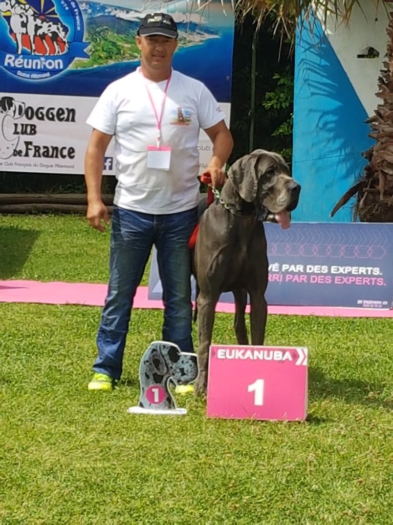 Mabrouck Di Vendra Nera